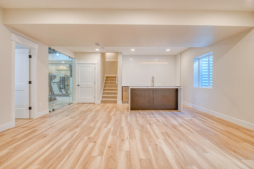 Basement Renovation