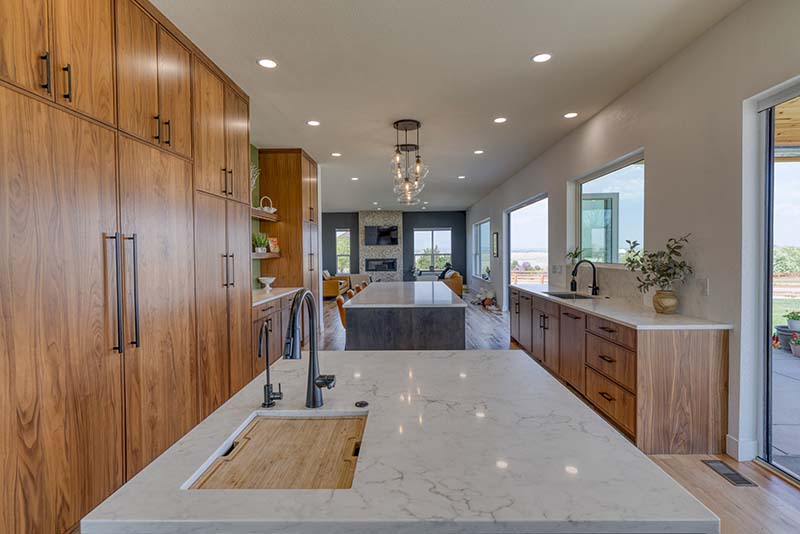 Modern Kitchen for Homes